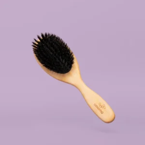 Boar Brush